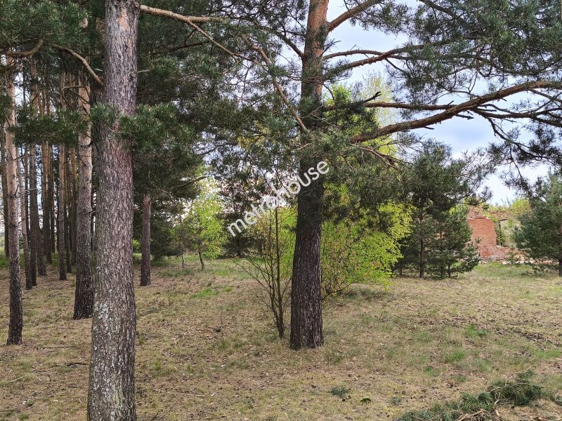 Działka na sprzedaż, Chojnicki, Będźmierowice