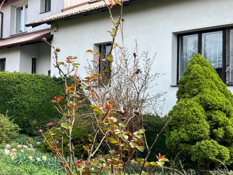 Dom na sprzedaż, Starogardzki, Starogard Gdański, Jacobsonów
