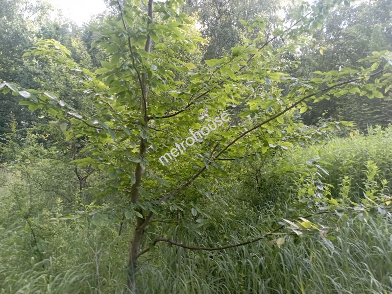 Działka na sprzedaż, Brzeski, Gnojnik, Gosprzydowa