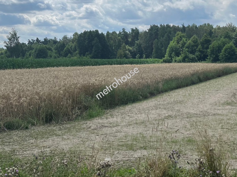 Działka na sprzedaż, Przasnyski, Karwacz