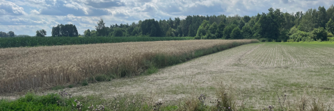 Sprzedaż Działka Karwacz, pow. przasnyski