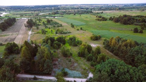 Sprzedaż Działka Polna, Czarnów, pow. wołomiński