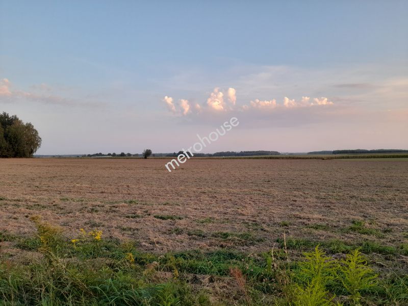 Działka na sprzedaż, Sokołowski, Budy Kupientyńskie