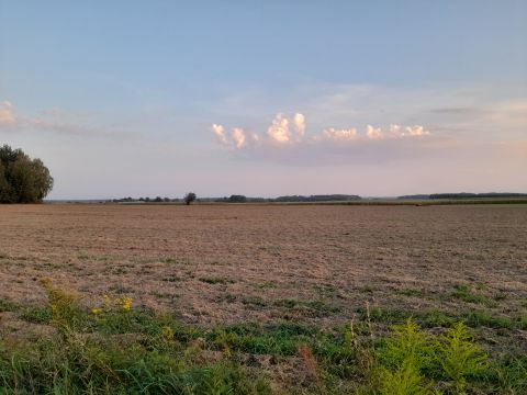 Sprzedaż Działka Budy Kupientyńskie, pow. sokołowski