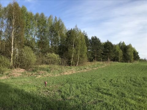 Sprzedaż Działka Rumy, pow. szczycieński