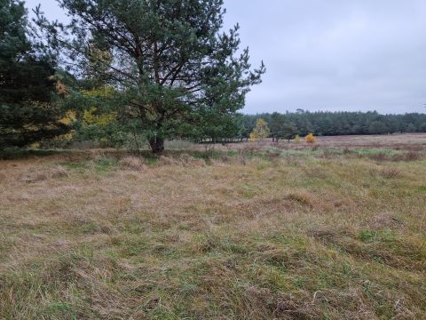 Sprzedaż Działka Zamek Bierzgłowski, pow. toruński