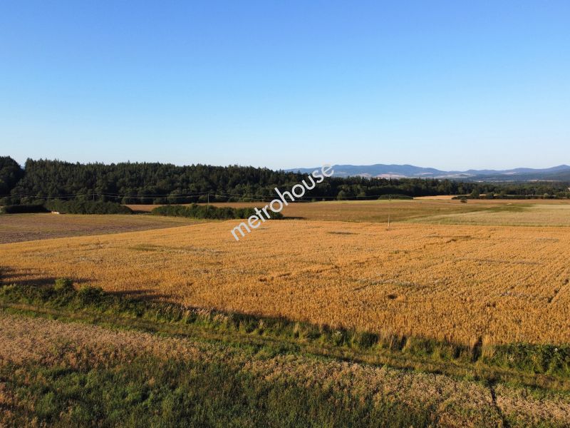 Działka na sprzedaż, Kłodzki, Stara Łomnica