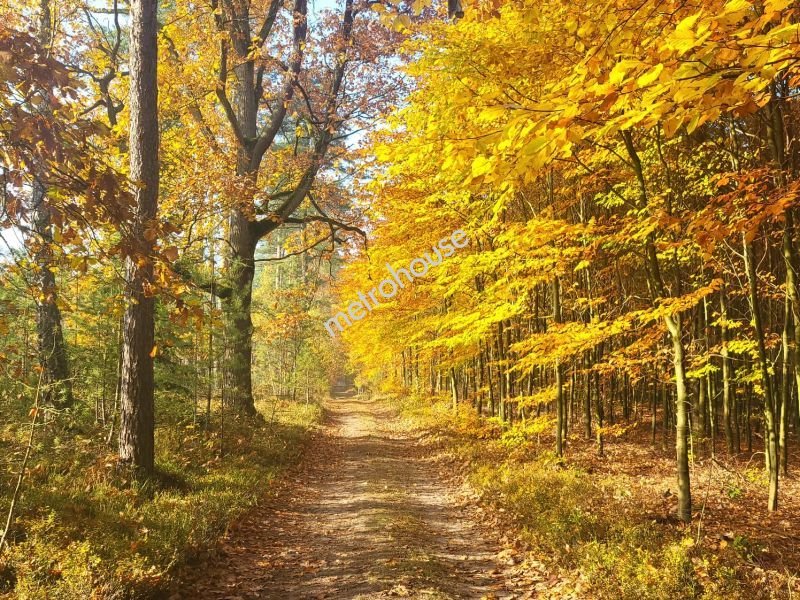 Działka na sprzedaż, Tucholski, Trzebciny