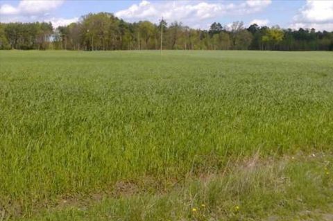 Sprzedaż Działka Rybno Wielkie, pow. gnieźnieński