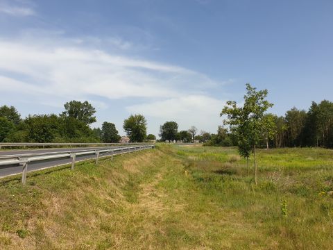 Sprzedaż Działka Blinno, pow. sierpecki