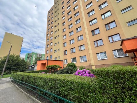Sprzedaż Mieszkanie Struzika, Zabrze