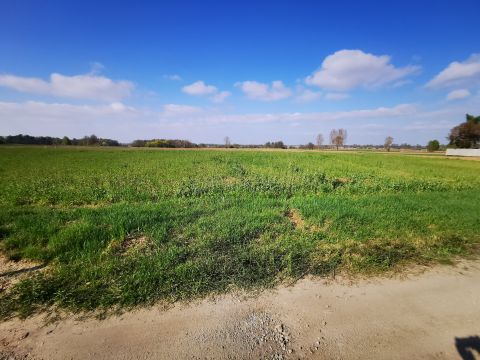 Sprzedaż Działka Kwiatowa, Krasowice, pow. namysłowski