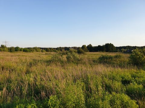 Sprzedaż Działka Sękocińska, Wolica, pow. pruszkowski