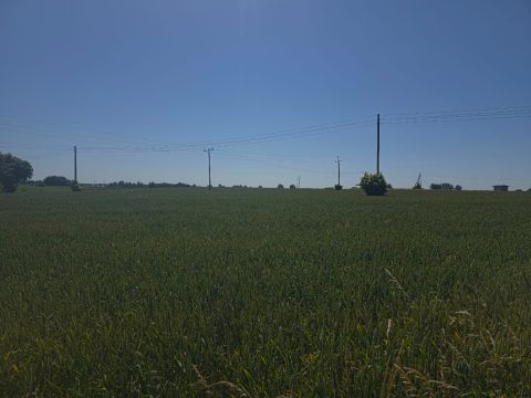 Sprzedaż Działka Nieżychowice, pow. chojnicki